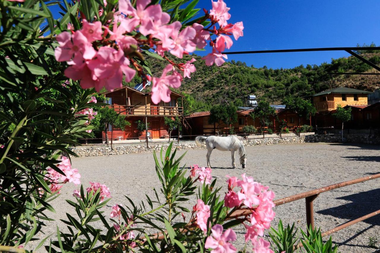 קמר Oranj Ranch Hotel מראה חיצוני תמונה