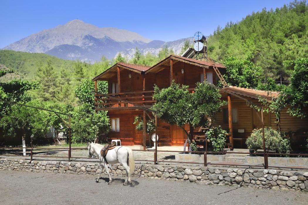 קמר Oranj Ranch Hotel מראה חיצוני תמונה