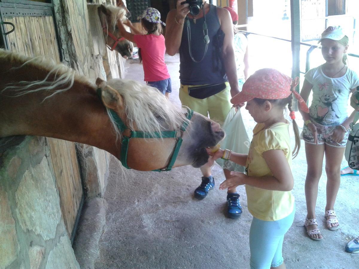 קמר Oranj Ranch Hotel מראה חיצוני תמונה