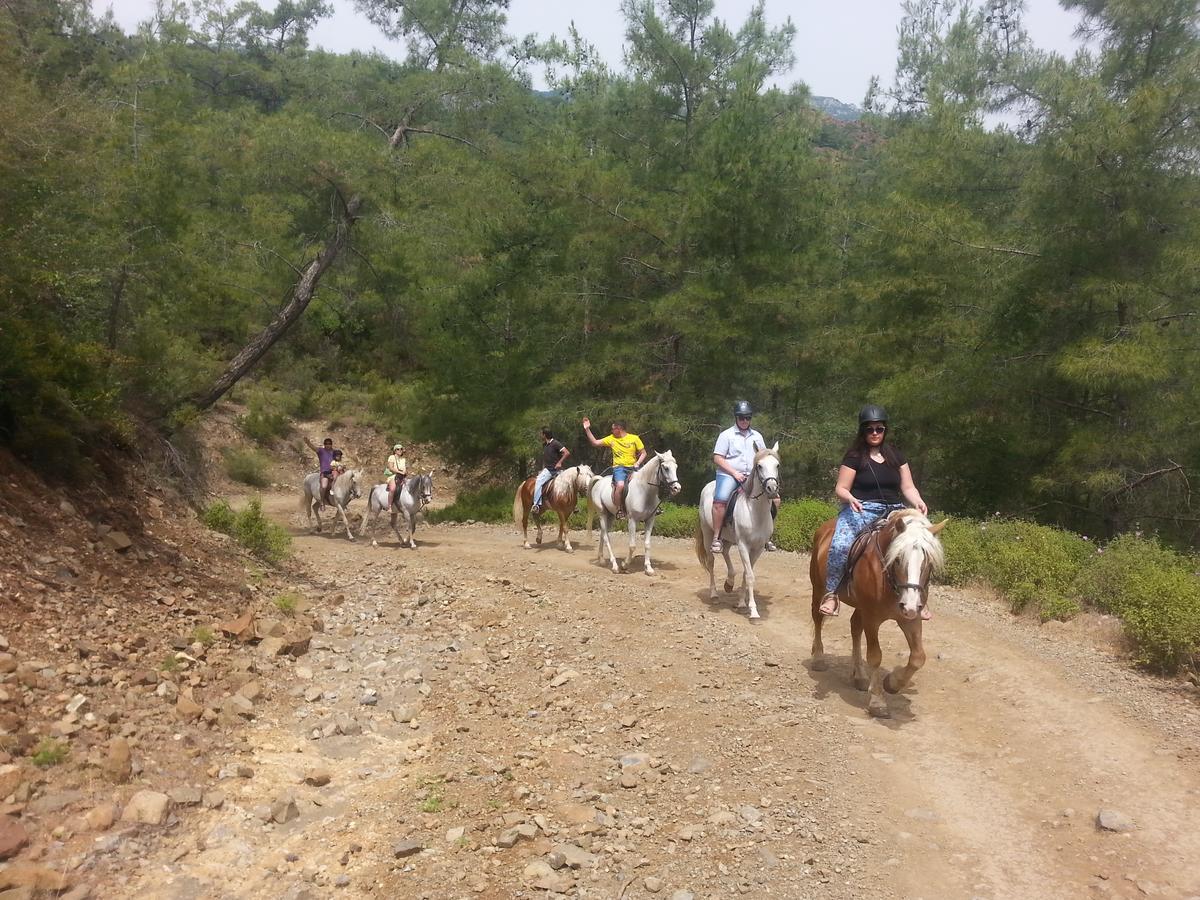 קמר Oranj Ranch Hotel מראה חיצוני תמונה