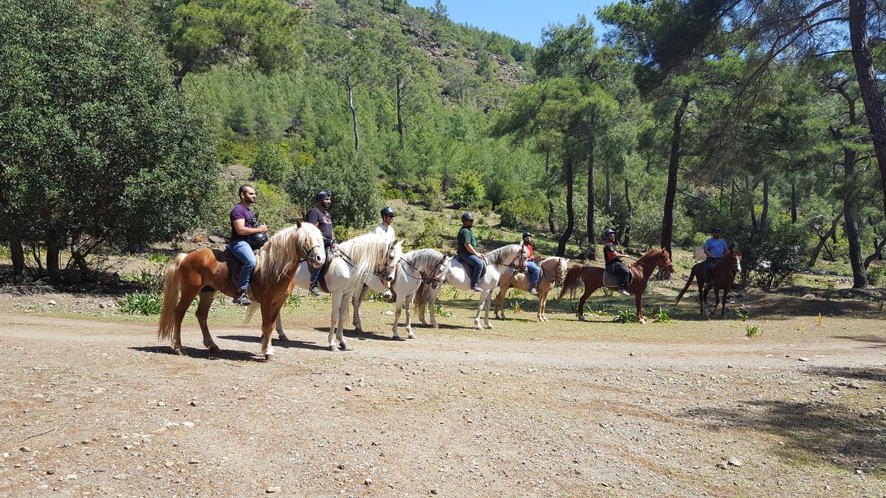 קמר Oranj Ranch Hotel מראה חיצוני תמונה