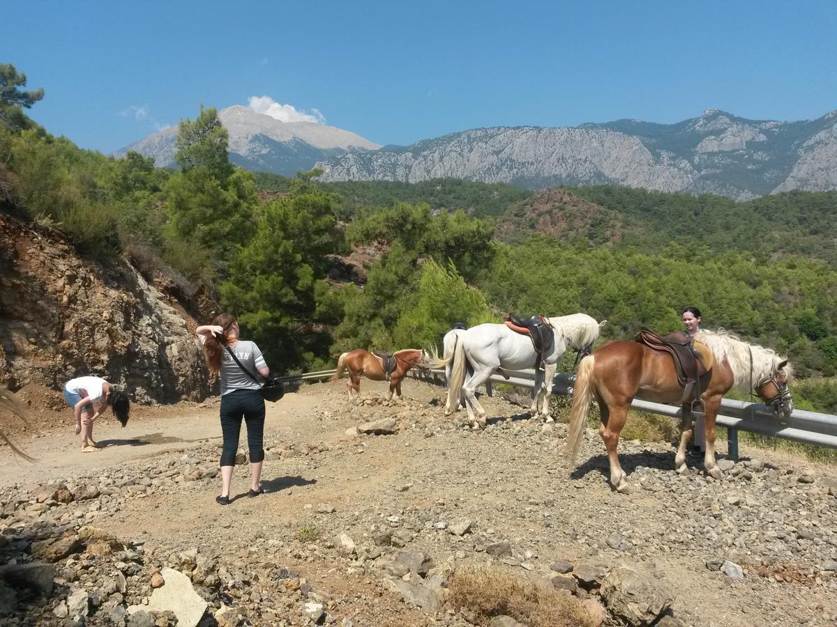 קמר Oranj Ranch Hotel מראה חיצוני תמונה