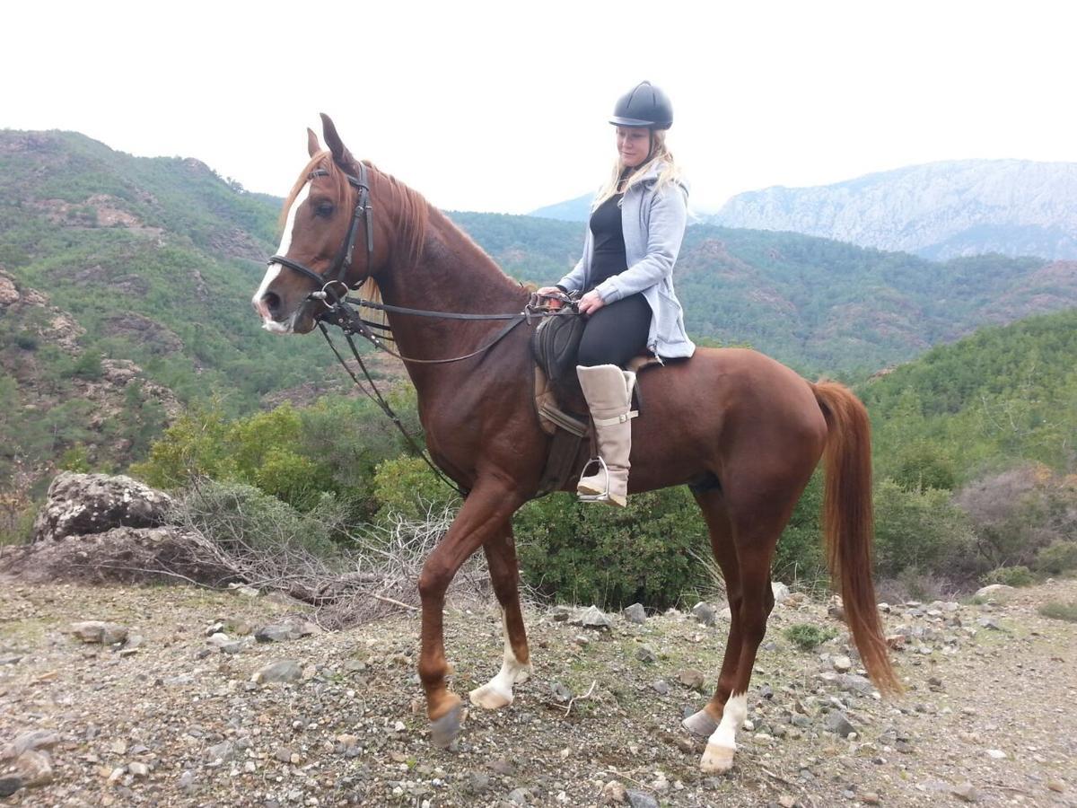 קמר Oranj Ranch Hotel מראה חיצוני תמונה