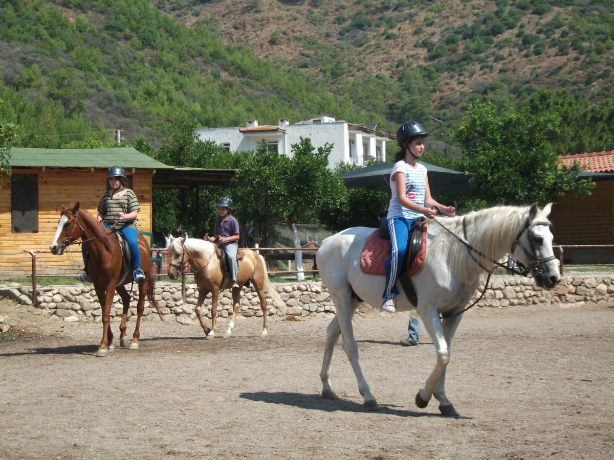 קמר Oranj Ranch Hotel מראה חיצוני תמונה